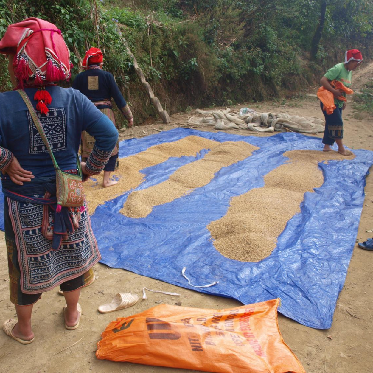 Rice Seeds - Tamay & Me - Handmade in Vietnam